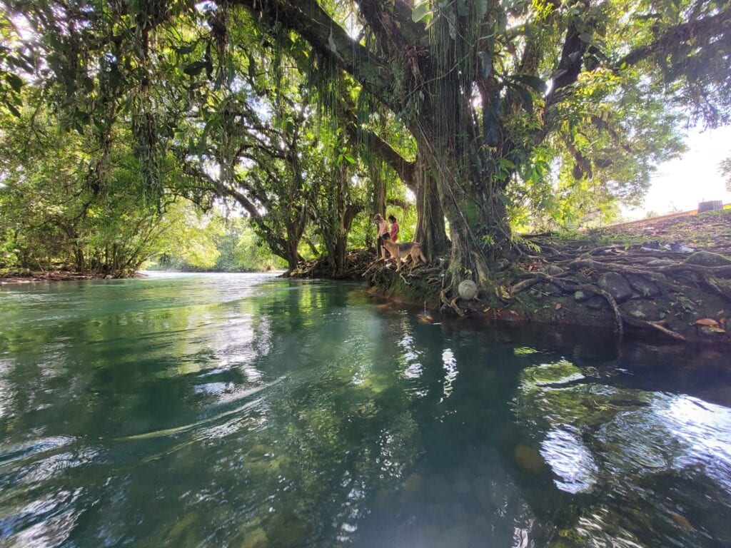 Living Waters Ranch river